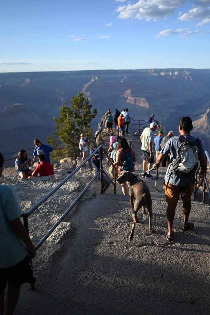 Man and dog hiking down a path of stairs to a viewpoint at The Grand Canyon.