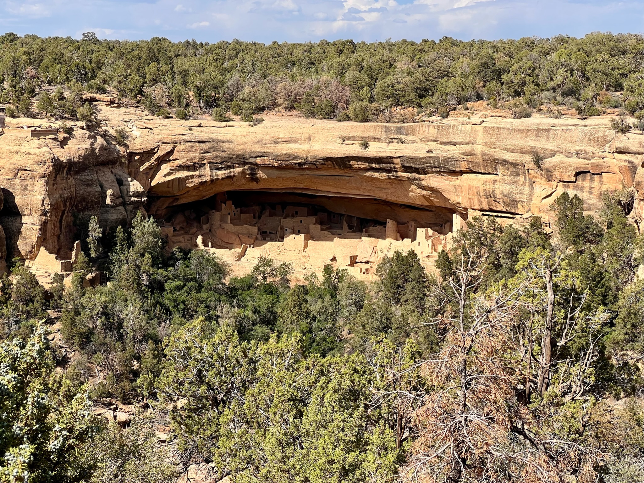 Red and beige canyon walls with top of green desert plants, shrubs and trees. The wall side with a huge open cave has the remains of living spaces and tower of a civilization that used to live hundreds of years ago.