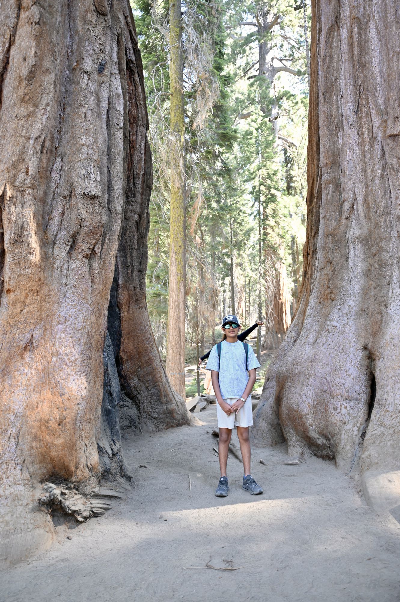Our son standing on the path between two enormous sequoia trunks on the General Sherman trail.