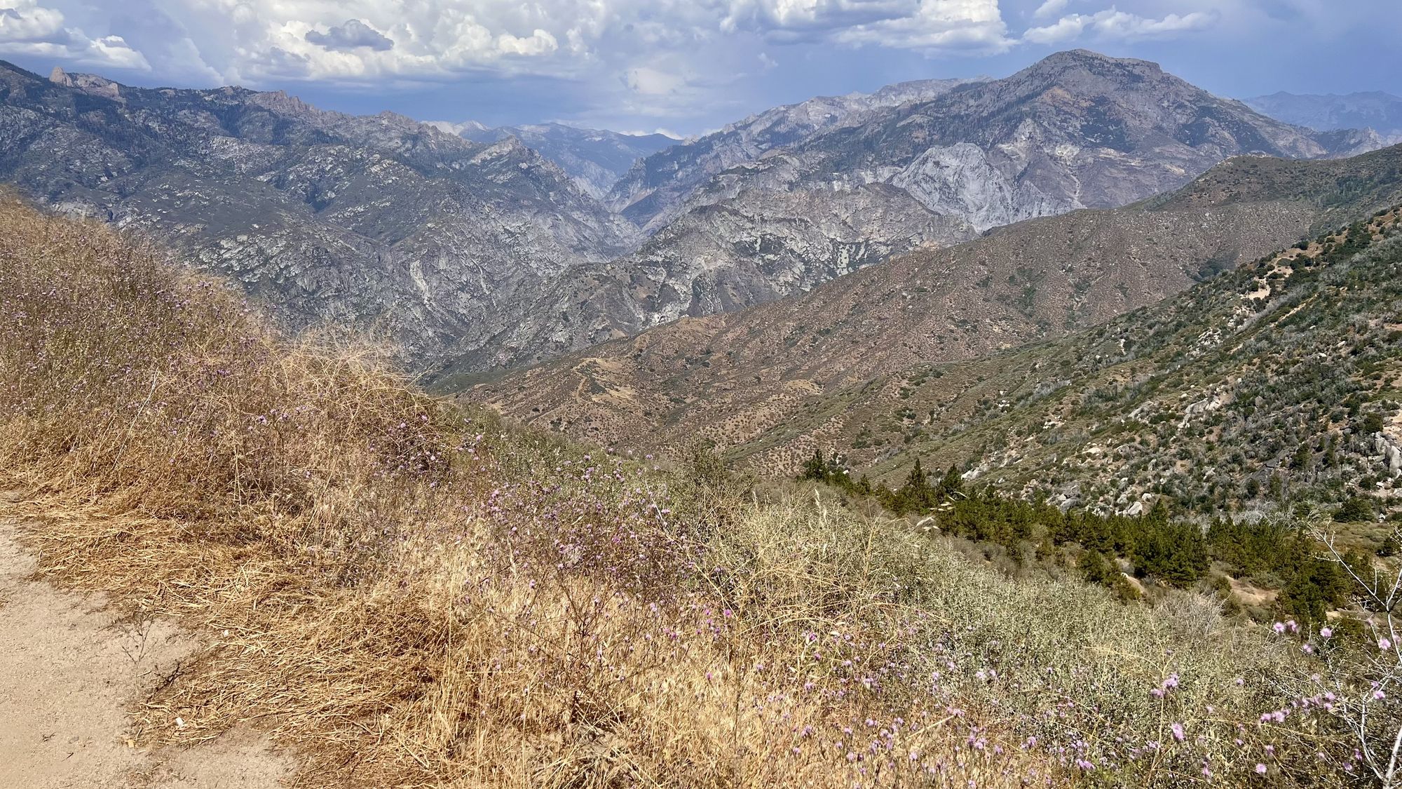 Dry golden grass on a hillside, looking across rugged, layered mountains under a cloudy sky.