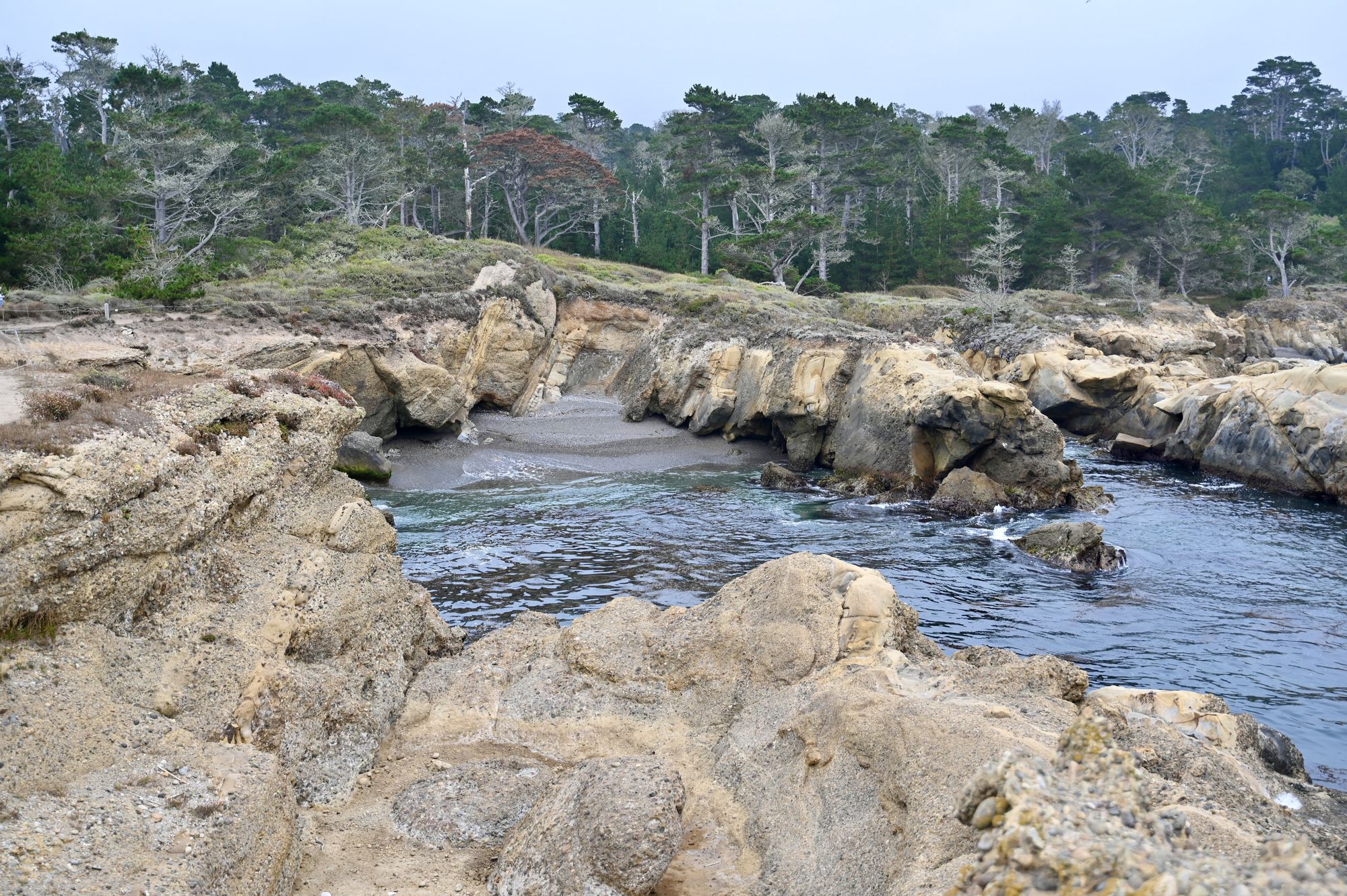 A narrow cove of blue water between golden sandstone rocks, with cypress trees on the headland above.