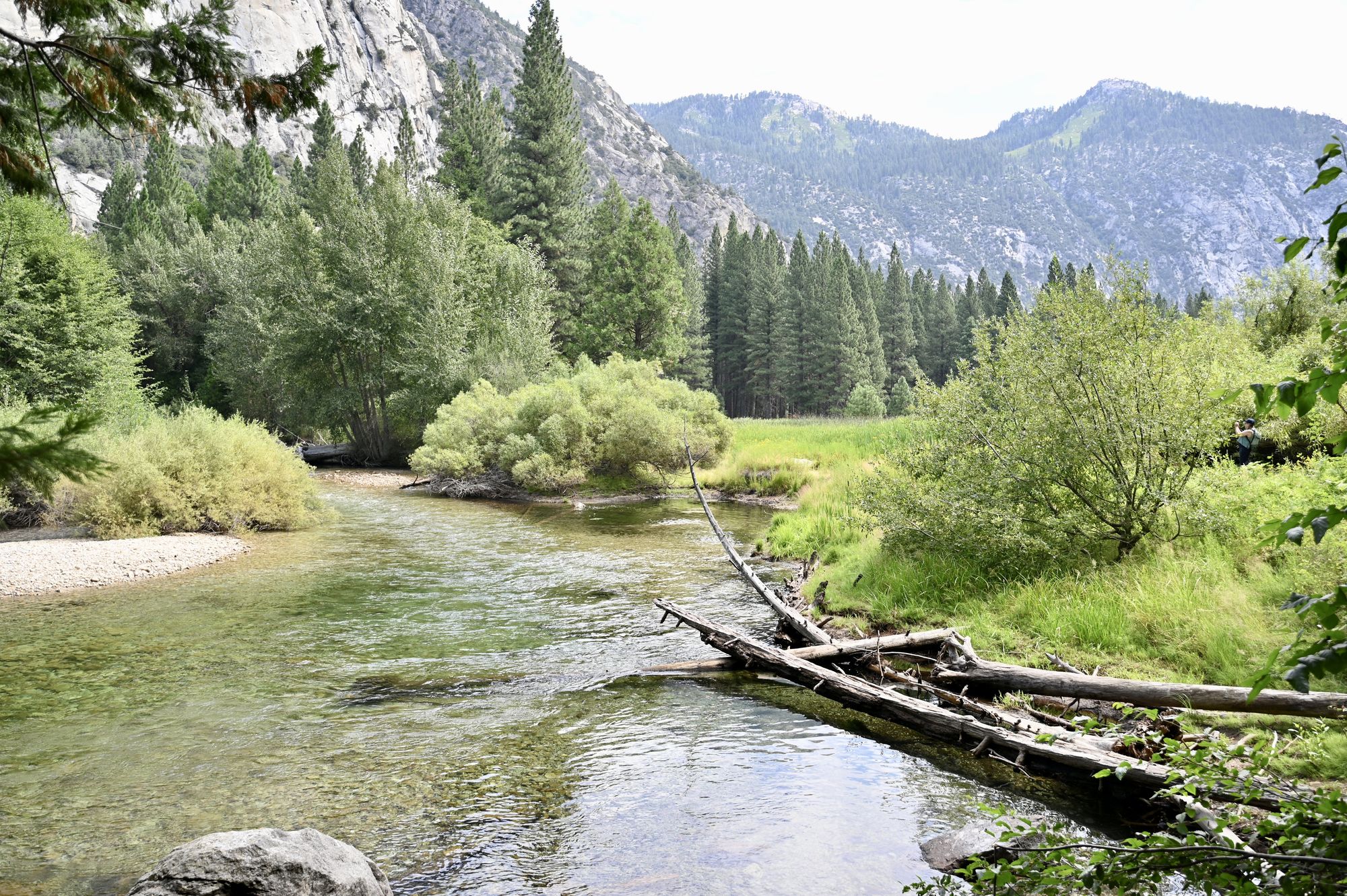 A clear, shallow river winding past a sandbar and fallen logs, with pines and granite peaks behind.