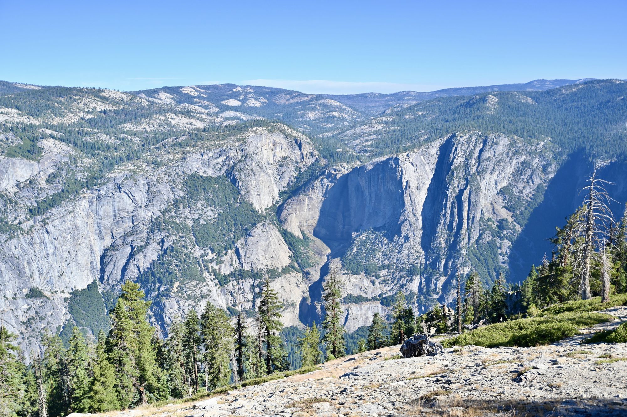 Yosemite Valley's granite cliffs and forested rim seen from high above, with a rocky slope and a few pines in the foreground.