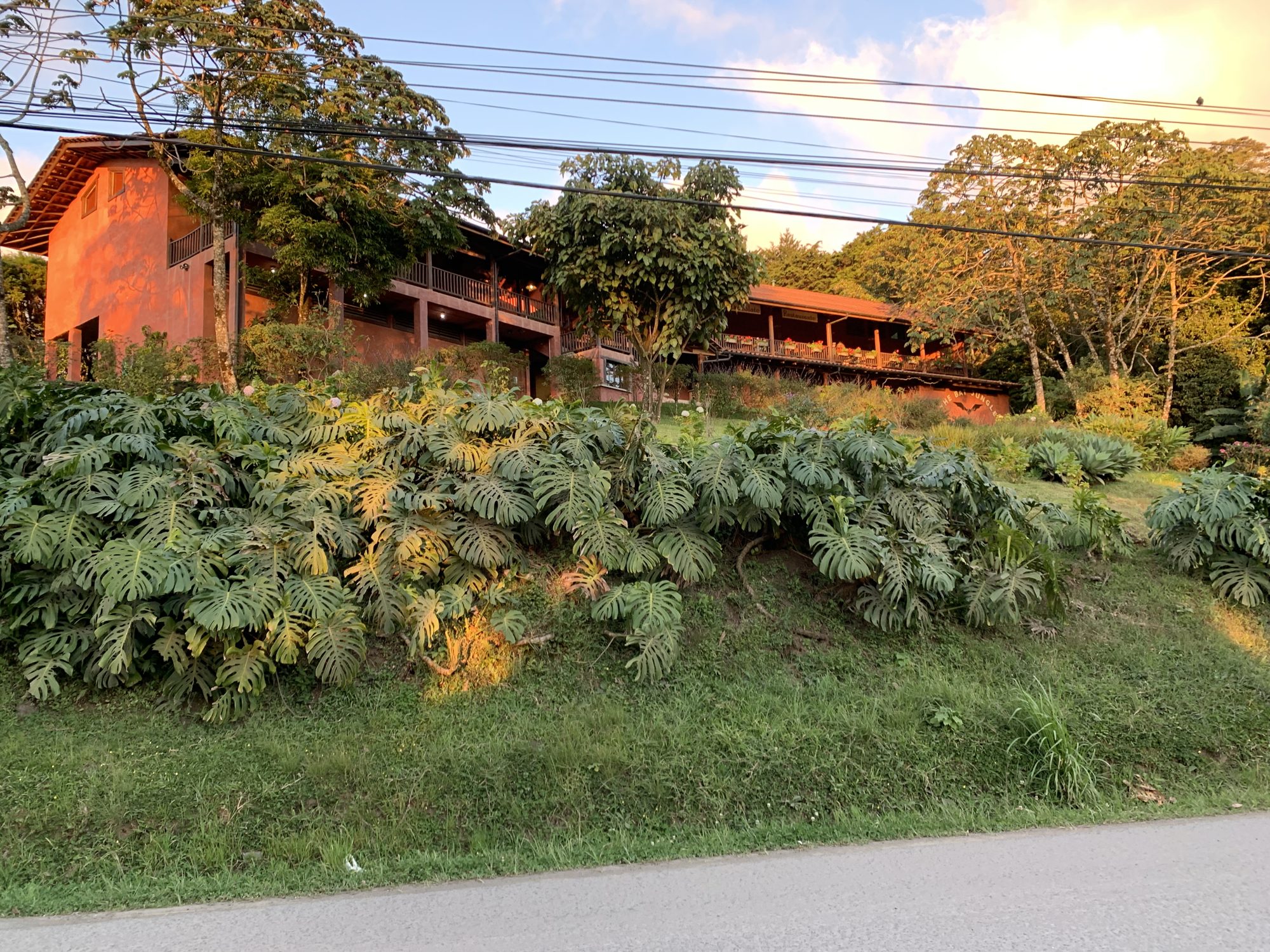 The terracotta buildings of Café Caburé among tropical plants