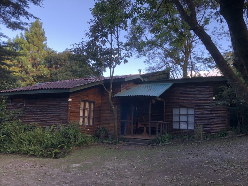 A wooden cabin among tall trees in Monteverde