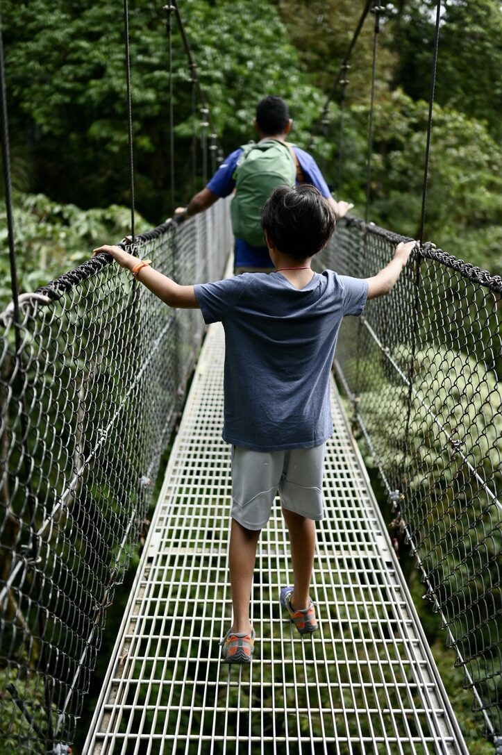 Boy holding the rails of a suspension bridge in the rainforest