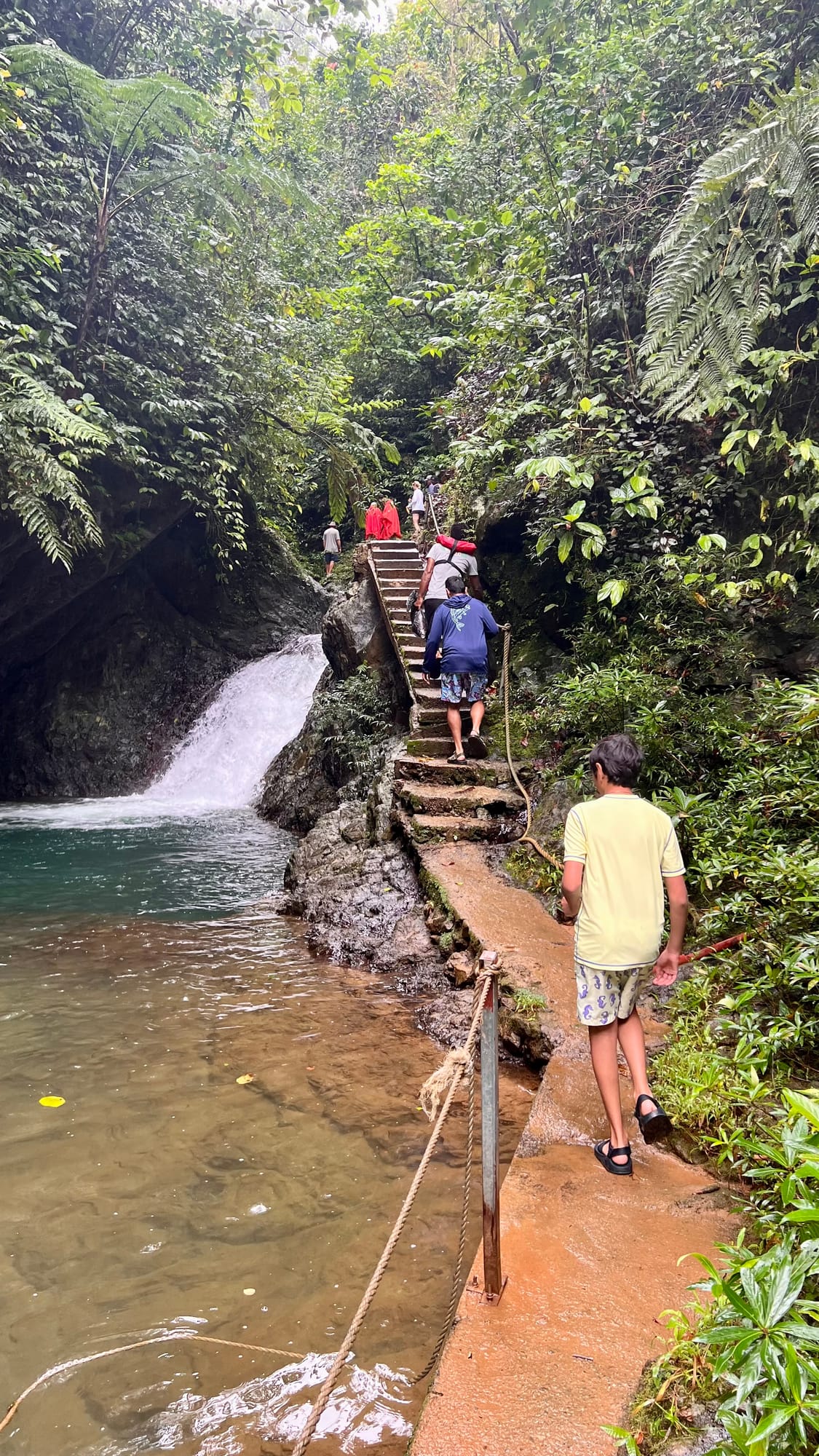 Stone steps with a rope handrail climbing beside a small waterfall and clear green pool, with our son walking up the path through the rainforest.