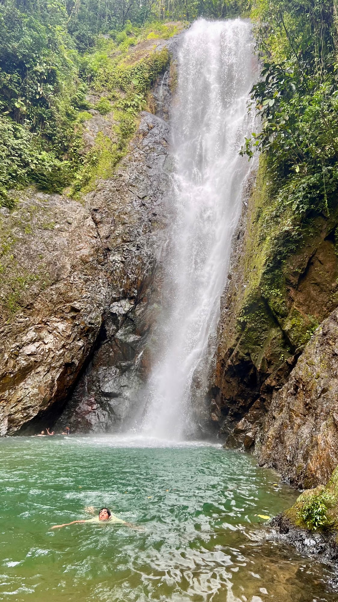 A tall, narrow waterfall pouring down a mossy rock face into a green pool, with a swimmer in the water below.