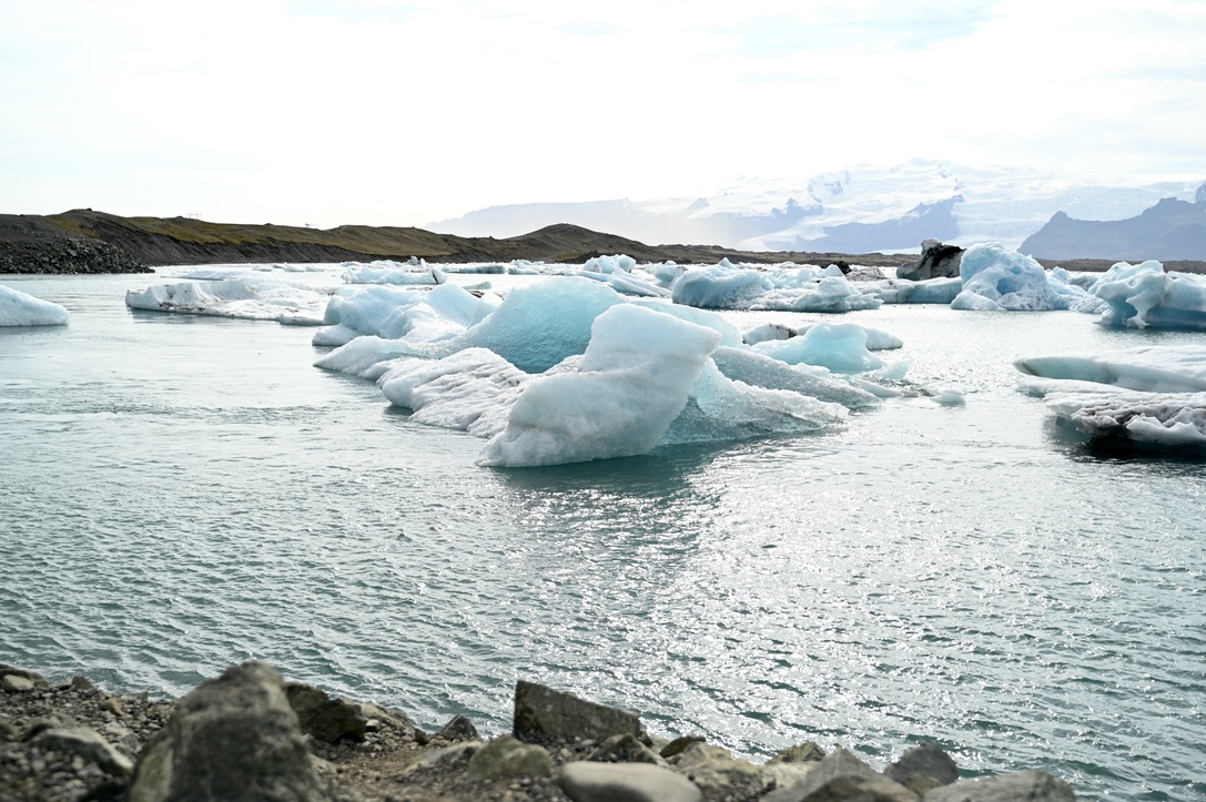 Huge chunks of icebergs flating in glacial waters of the lagoon from Jökulsárlón in the distance, the foregound with big rocky embankments.