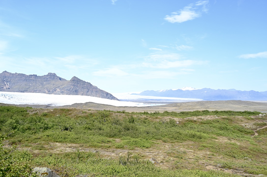 Wide vista of glacier and valley with shubs and moss covered land in the foreground.