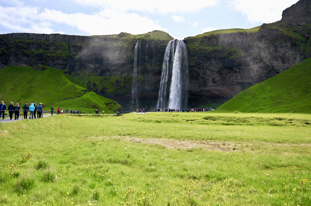 Seljalandsfoss waterfall coming down from a cliff wall with people walking towards it in a path and green field in the front.