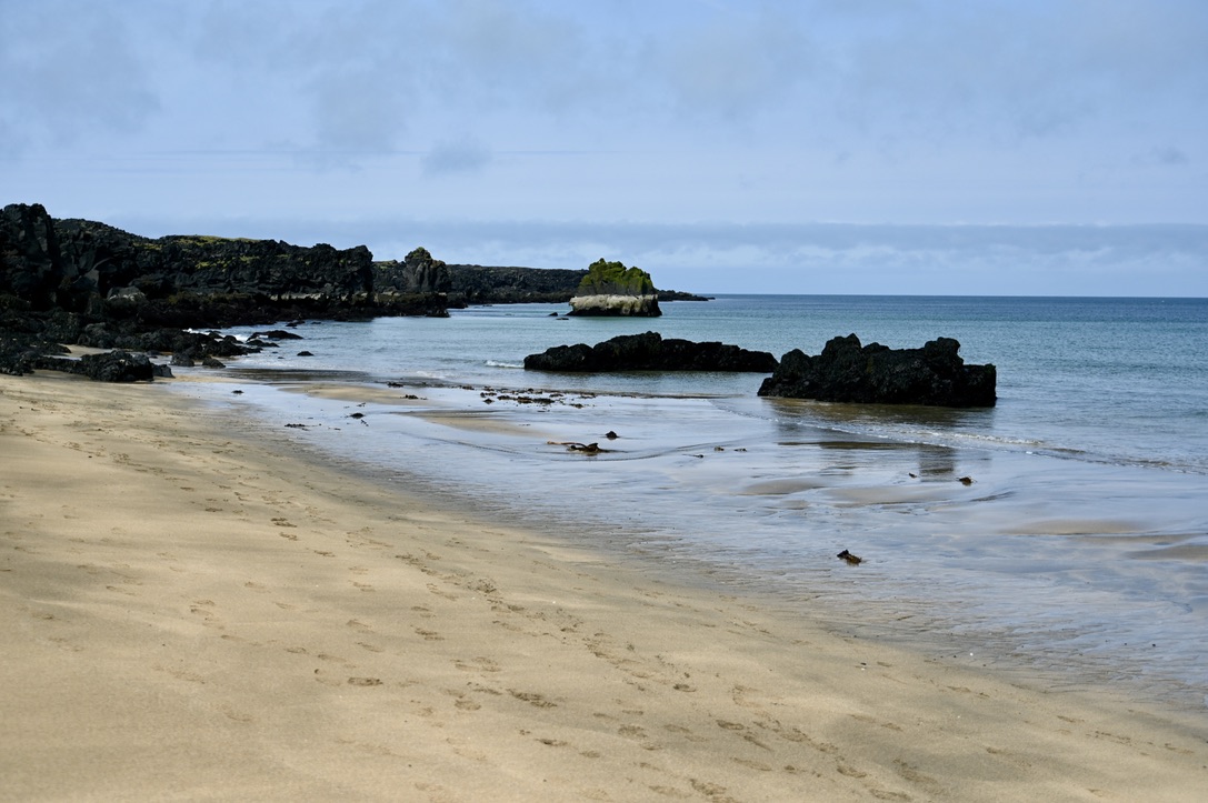 A white or biege sand beach with some rocks in the water and kelp covering the rocks