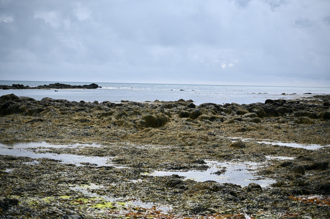 Rocky pebbly beach with tide pools and large boulders