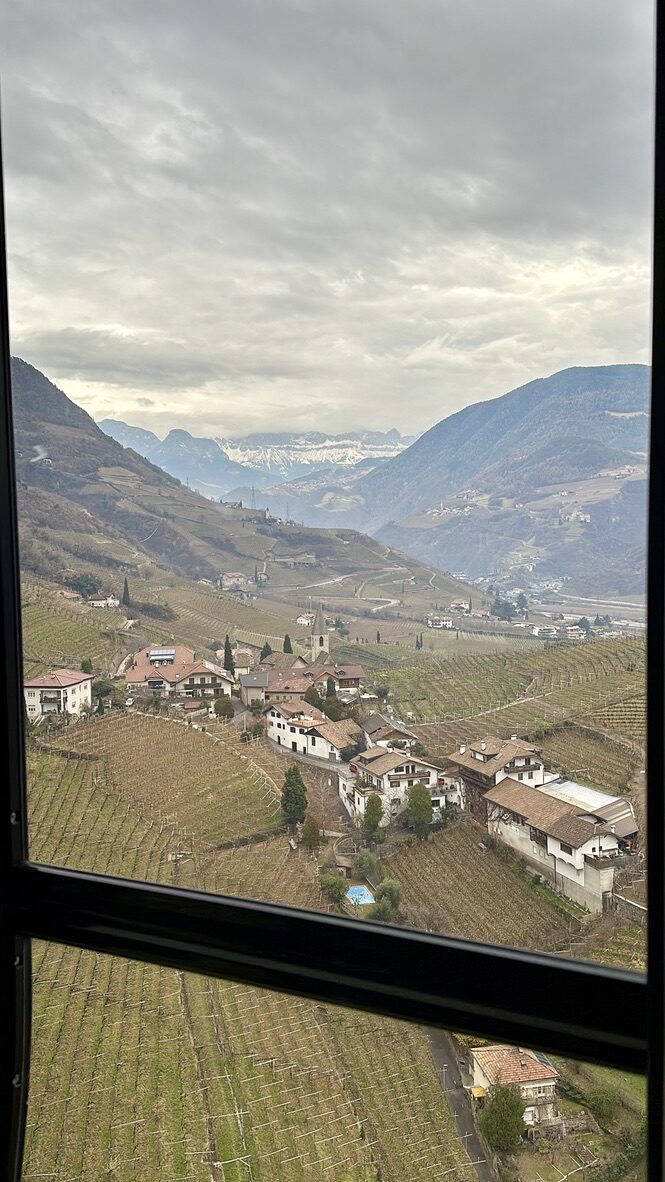 Vineyards and a valley seen through the cable car window