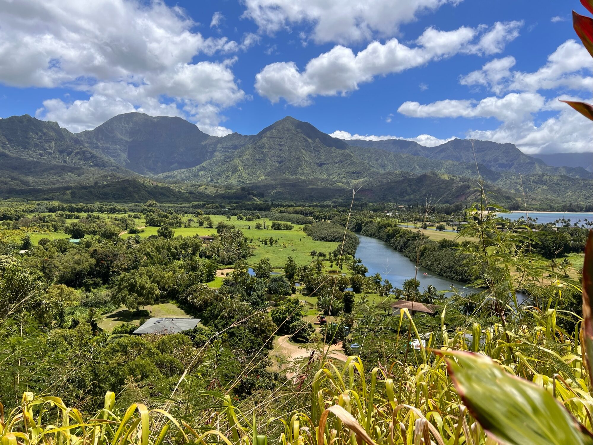 Green Hanalei valley with a winding river, fields and houses below the mountains