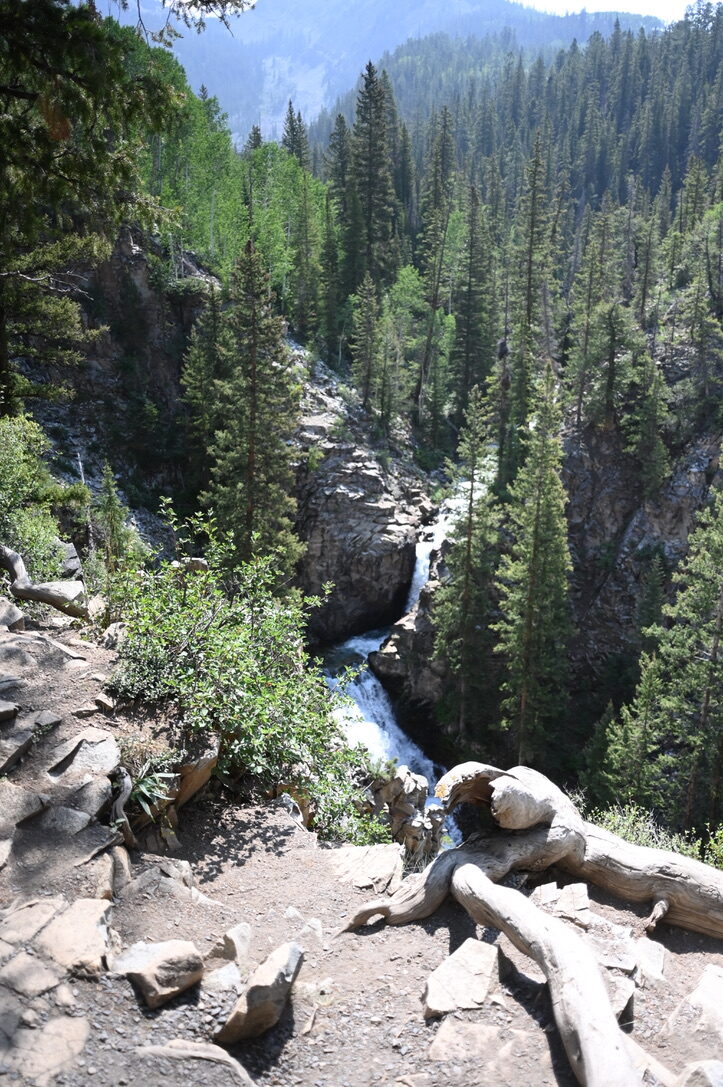 A waterfall dropping through a rocky gorge between pine-covered slopes