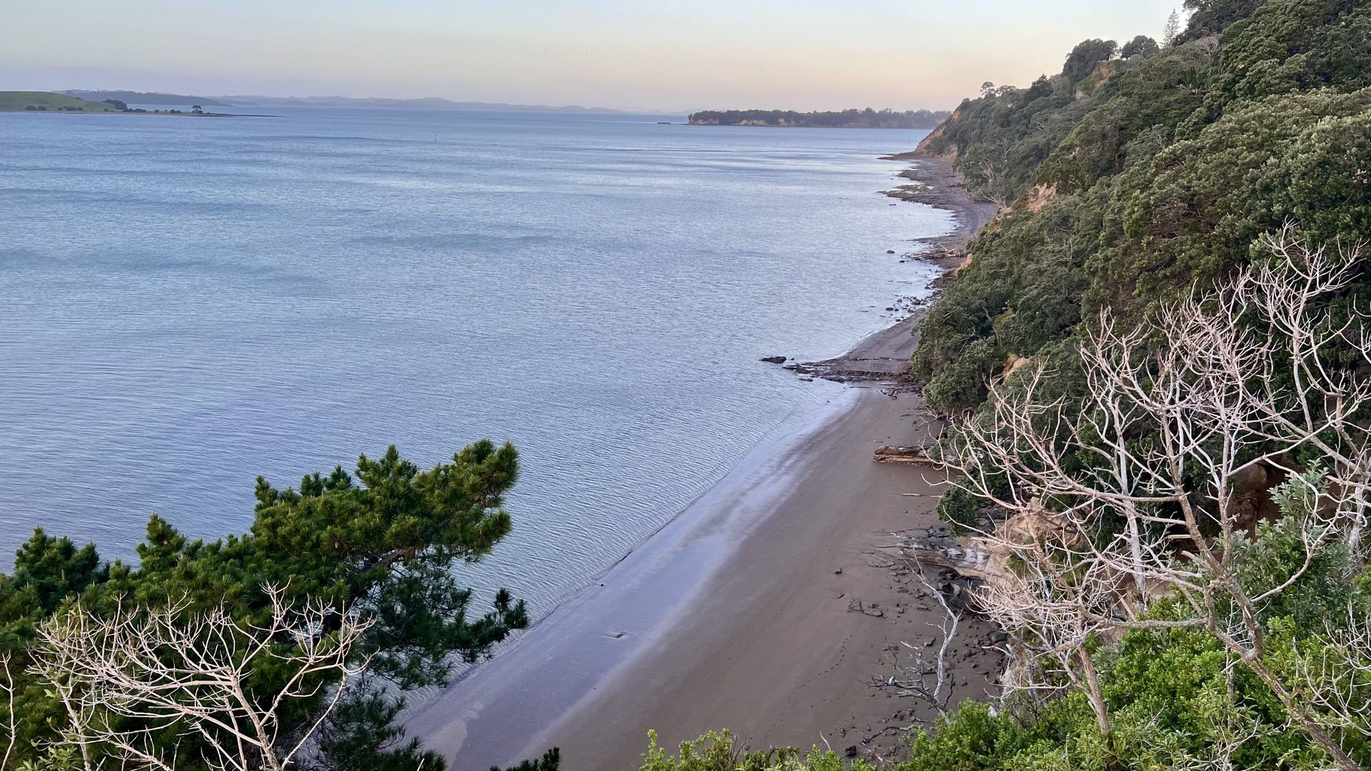 A quiet sandy beach curving below a bush-covered cliff, with calm water stretching to the horizon at dusk.