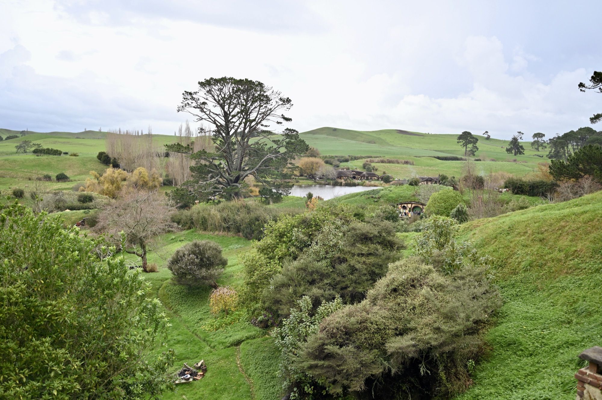 Green rolling hills and gardens around a small lake, with the large Party Tree in the middle distance.
