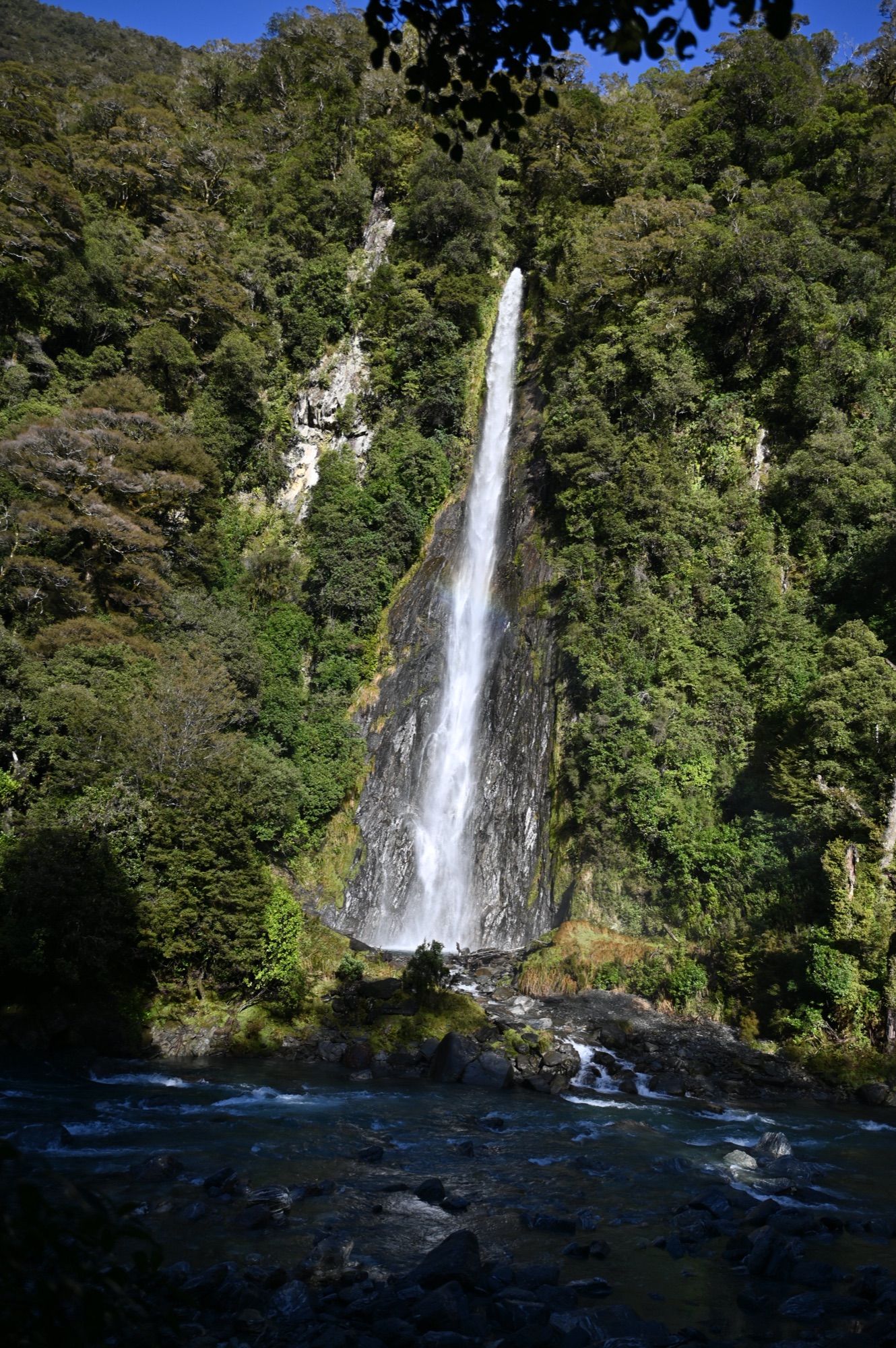 Thunder Creek Falls dropping in a single tall stream down a forested cliff into a rocky river.