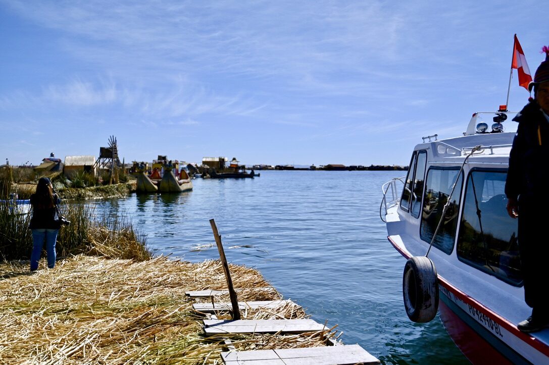 A tour boat moored at the edge of a reed island