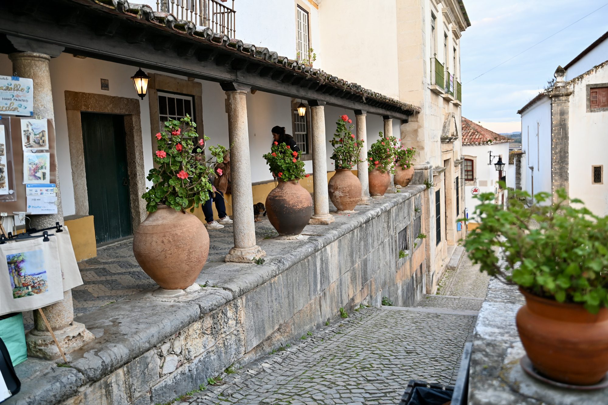 A shaded arcade in Óbidos lined with large terracotta pots of red geraniums.